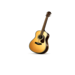 Acoustic Guitars