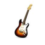 Electric Guitars